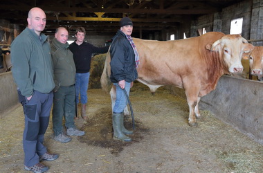 Boucherie Bidegain - Photographie #12