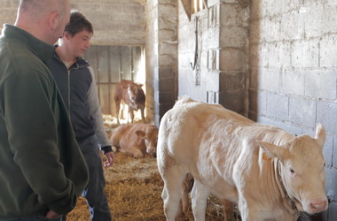 Boucherie Bidegain - Photographie #16