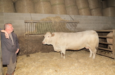 Boucherie Bidegain - Photographie #17