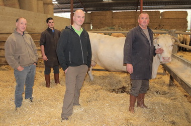 Boucherie Bidegain - Photographie #18