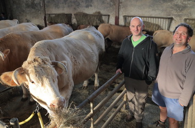 Boucherie Bidegain - Photographie #19