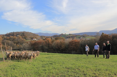 Boucherie Bidegain - Photographie #22