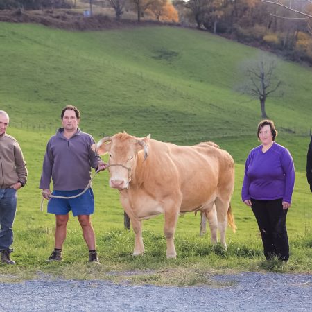 Boucherie Bidegain - Bayonne | Anciennes Photographies #11